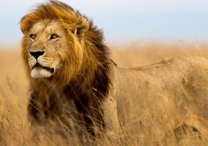 affordable tour packages