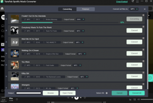 Batch Conversion of Spotify Music