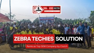 Zebra Techies Solution Ranks as Top SEM Company by Clutch