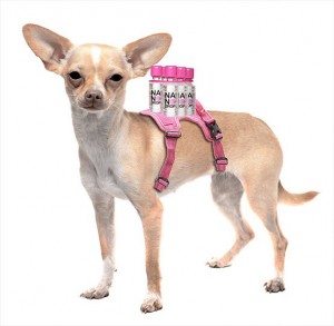 The Weizman Institute And Paris Hilton Launch NanoDrop - Highly Condensed Sparkling Water