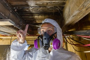 Mold Inspector Training