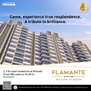 Flamante 1 1