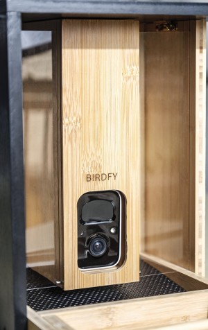 Birdfy Feeder Bamboo - camera