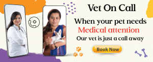 Vet on call banner