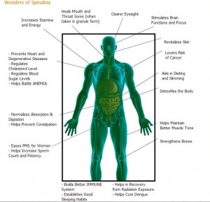 Spirulina multi functional
