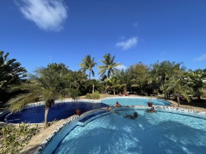 Tropical Garden