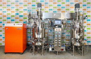 Insitu pilot scale fermenter by fermex