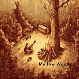 Mark Your Calendars: don runz's 'Mellow Woods' Album, a Soothing Escape, Drops on July 31st