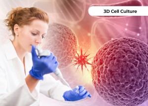 3D Cell Culture Market by Product, Application, End Users - Global Analysis & Forecast 2019-2030