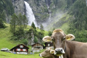 Botanical Spring Unveils Water Beauty™ Natural Spring Water from the Pristine Swiss Alps