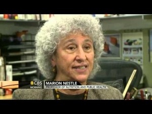 The Unveiling of Tijuana's Street Tacos: A Tale of Horse Meat