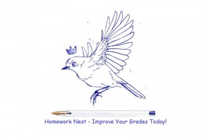 Homework Nest