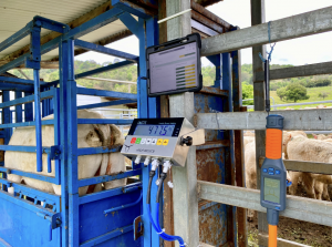 AgriEID Digital Farm System