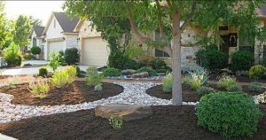 Menifee Gardening and Sprinkler Repair is proving the best cost-effective service