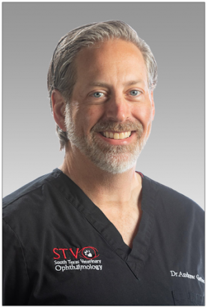 Andrew Greller, DVM, DACVO, a Veterinary Ophthalmologist with South Texas Veterinary Ophthalmology