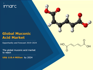 Global Muconic Acid Market to Reach US$ 119.4 Million by 2024
