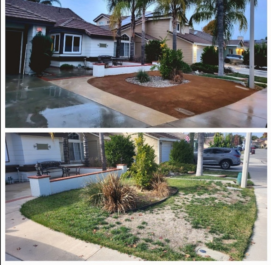 Find the best service with Menifee landscape and irrigation specialists