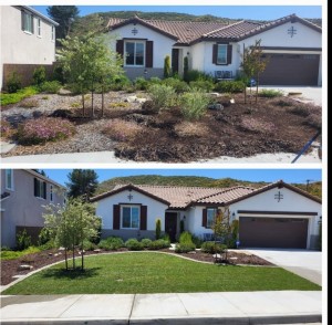 Find the best service with Menifee landscape and irrigation specialists and his owner Anthony