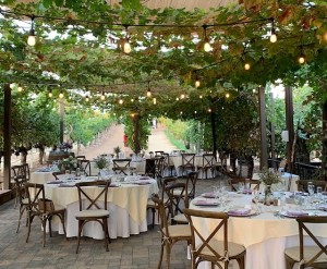 Vineyard Row Event Space at Wilson Creek Winery