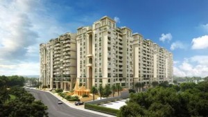 WhatsApp Image 2023 07 18 at 15 07 16