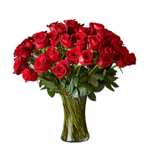 images 2023 07 11T183511 181 PhotoRoom png PhotoRoom