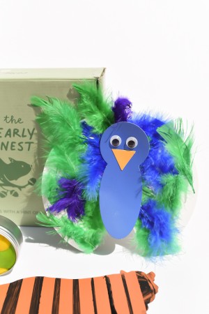 Peacock Feather Activity