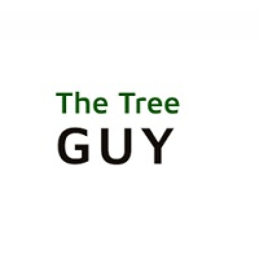 The Tree Guy Best Stump Grinding in WA IssueWire