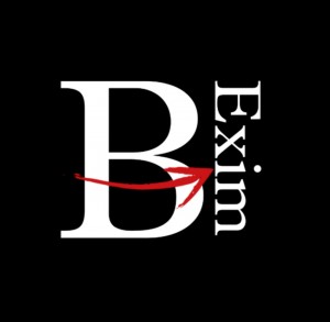 Meet the Visionary CEO of Bexim Digital - Mr. Vijay K Chaudhary