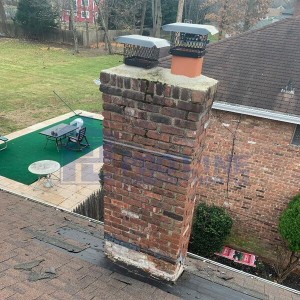 professional chimney services