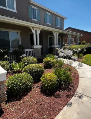 Get the most creative landscape for front and backyard with Cristian Mendez Landscape