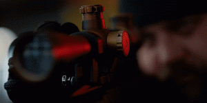 Law and Order collection