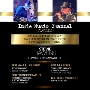 Stevie Hawkins Indie Music Channel Awards