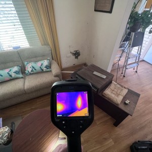 Control Pest Management Brisbane Termite Nest