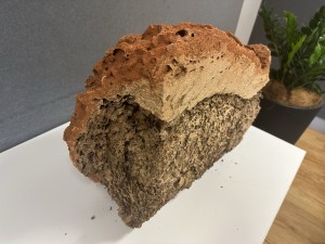 Control Pest Management Brisbane - Termite Nest