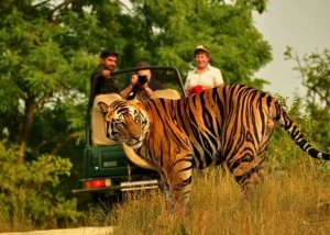 Dandeli Wildlife Sanctuary