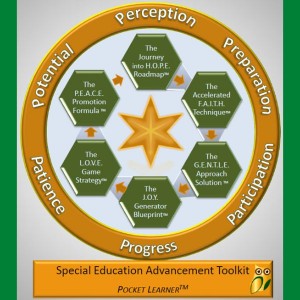 The Pocket Learner Special Education Blueprint