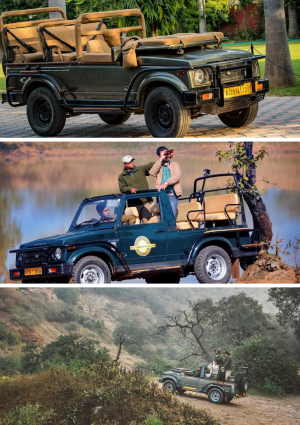 chambal safari Booking With RanthamboreSafari.org