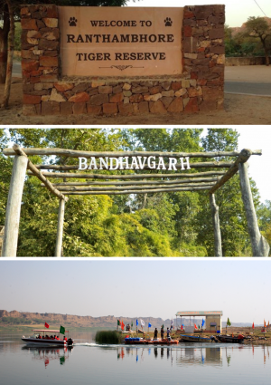 Ranthambore Safari Booking With RanthamboreSafari.org