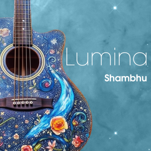 New age / jazz acoustic guitarist Shambhu
