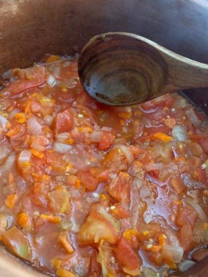 Making hearty stew in a Miriam