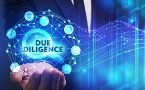 Due Diligence