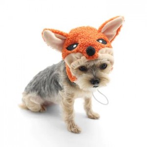 Dog clothes and accessories