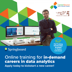 CSNCFL Springboard Offering Online Training in Data Analytics