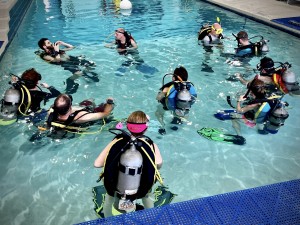 Scuba Adventures Plano Named a 2022 Top Dive Shop