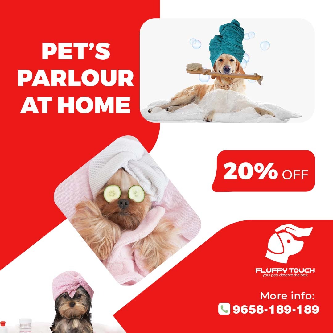 Best Pet's Grooming At Your Doorstep. IssueWire