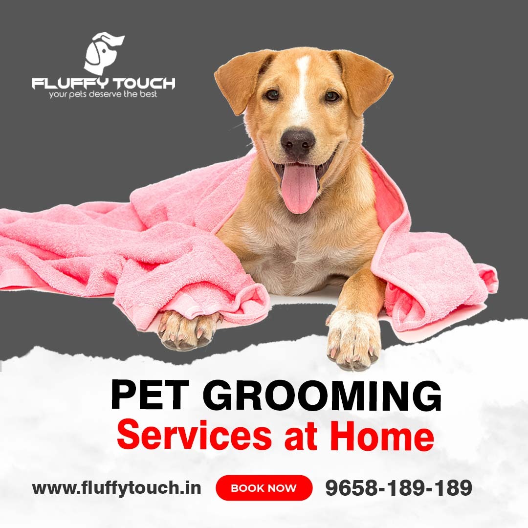 Best Pet's Grooming At Your Doorstep. IssueWire