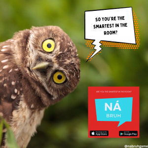 Na Bruh Trivia App Goes FREE: A Gift to Trivia Enthusiasts Worldwide!