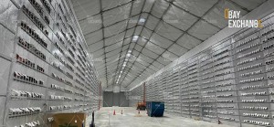 DBay Exchange Mining Farm