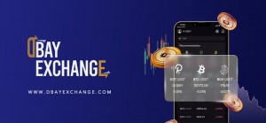 DBay Exchange Websites