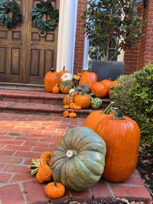Lovely pumpkins last for months